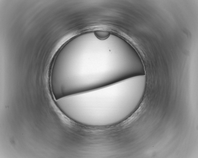 X0000111601426200907161204