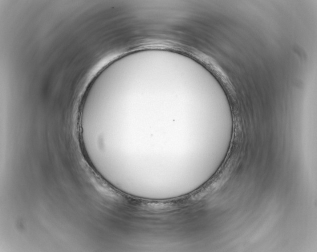 X0000111601427200907161204