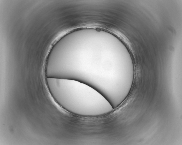 X0000111601429200907161204