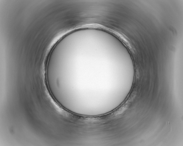 X0000111601430200907161204