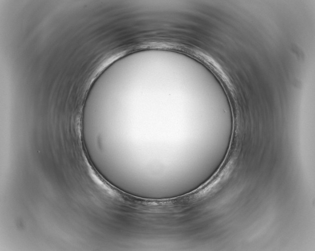 X0000111601433200907161204