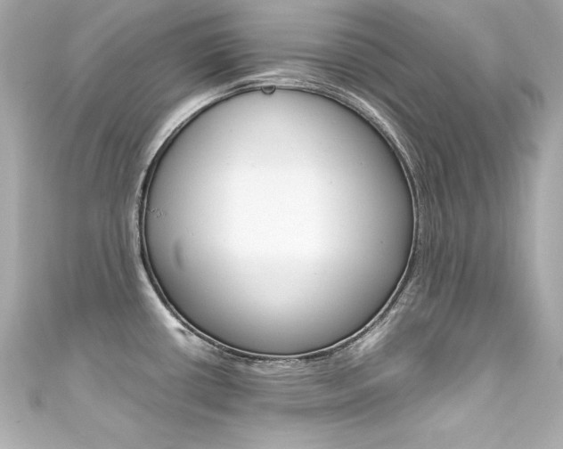 X0000111601434200907161204