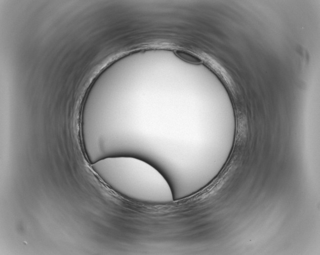 X0000111601435200907161204