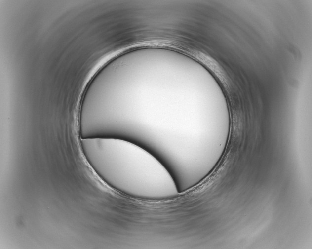 X0000111601436200907161204
