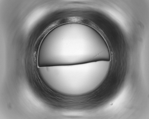 X0000111601438200907161204
