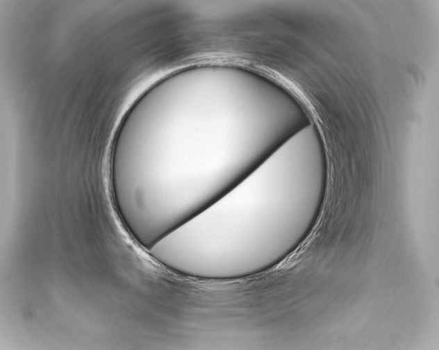X0000111601440200907161204