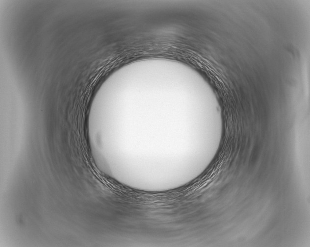 X0000111601441200907161204