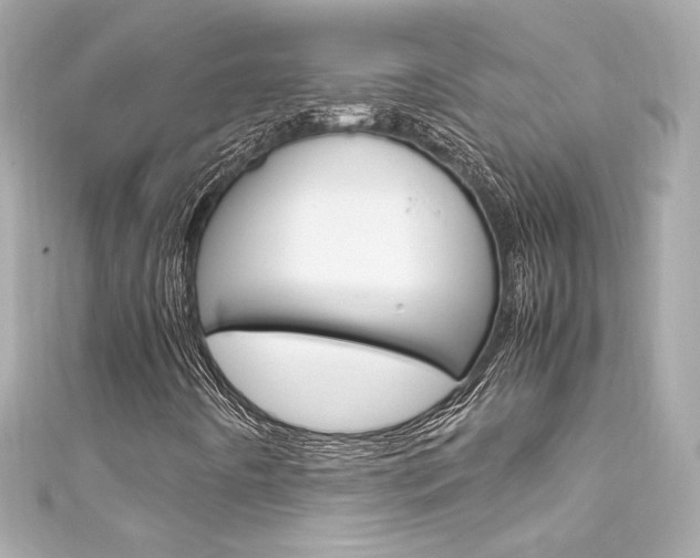 X0000111601442200907161204