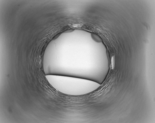 X0000111601443200907161204