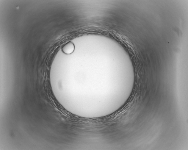 X0000111601445200907161204