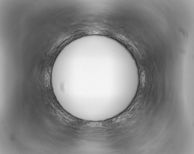 X0000111601446200907161204