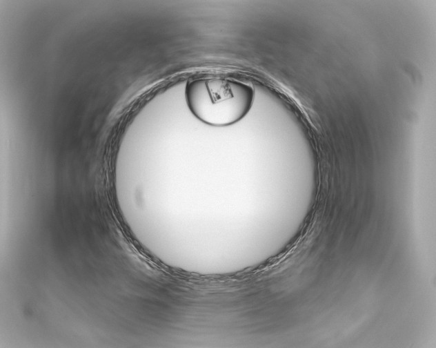 X0000111601448200907161204