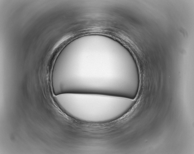 X0000111601450200907161204