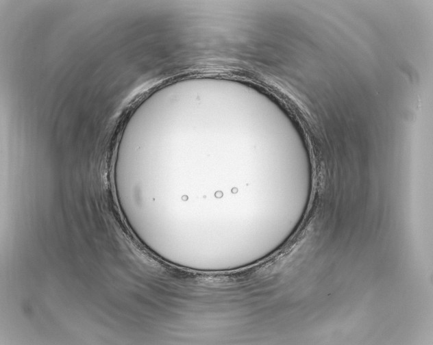 X0000111601451200907161204