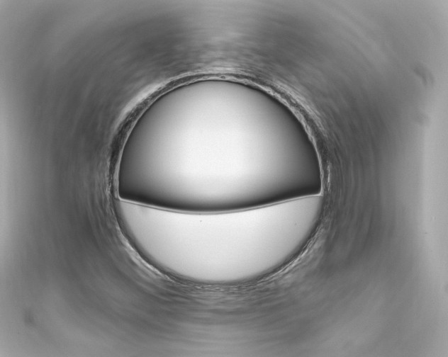 X0000111601452200907161204