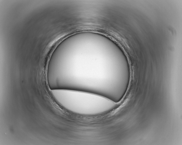 X0000111601453200907161204