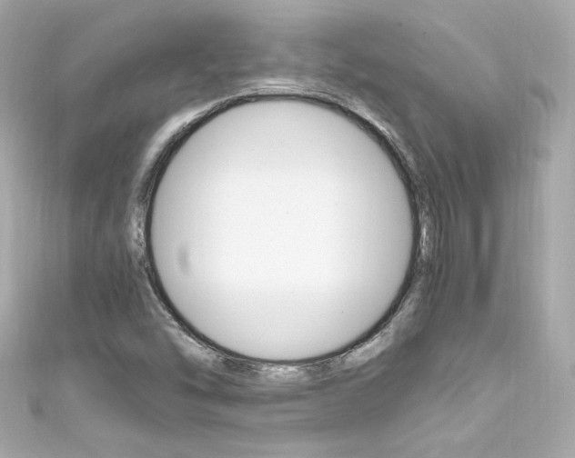 X0000111601454200907161204