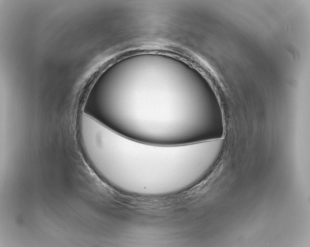 X0000111601456200907161204