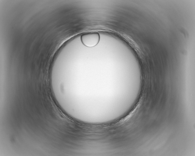 X0000111601457200907161204