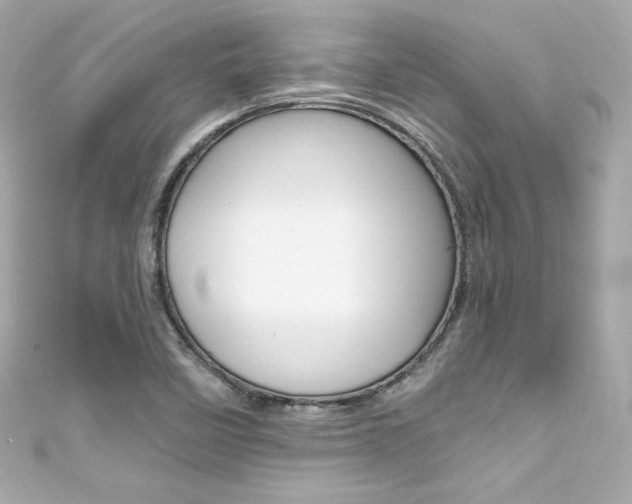 X0000111601458200907161204