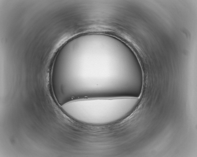 X0000111601459200907161204