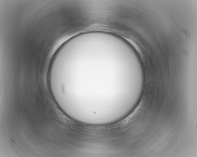 X0000111601461200907161204