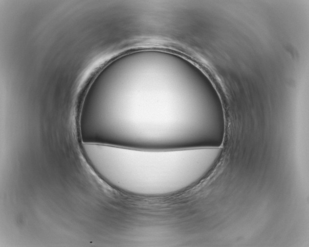 X0000111601464200907161204
