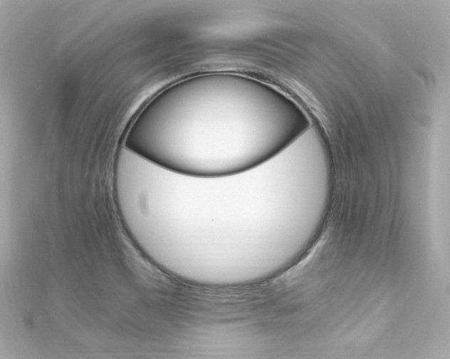 X0000111601465200907161204