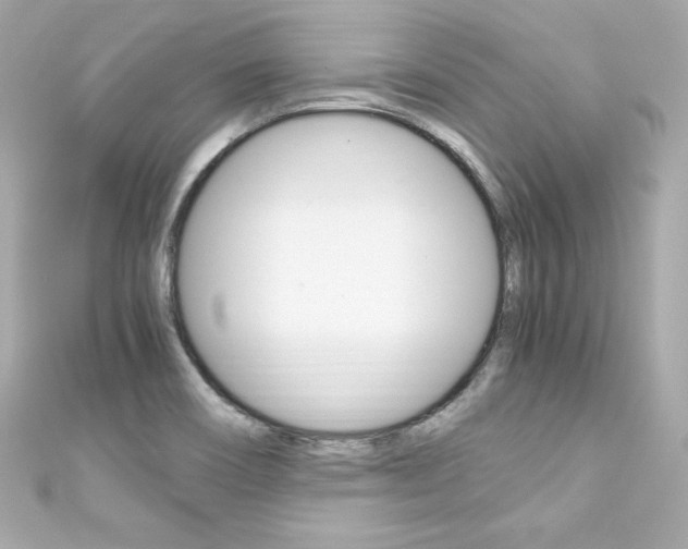 X0000111601466200907161204