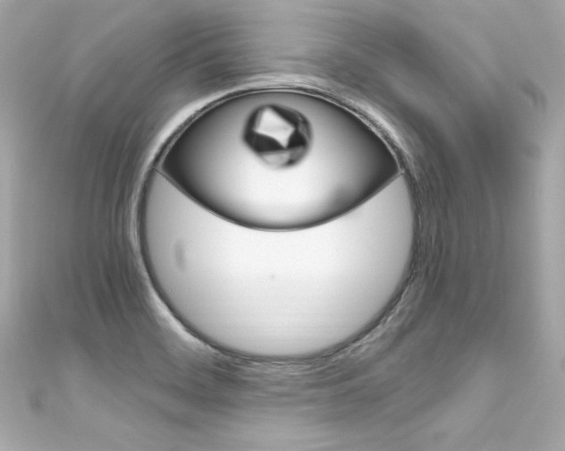 X0000111601468200907161204