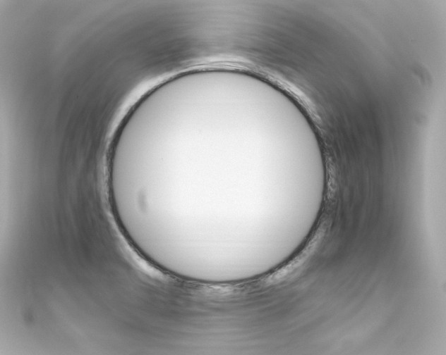 X0000111601470200907161203