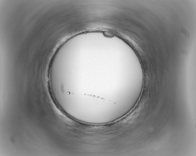 X0000111601471200907161203