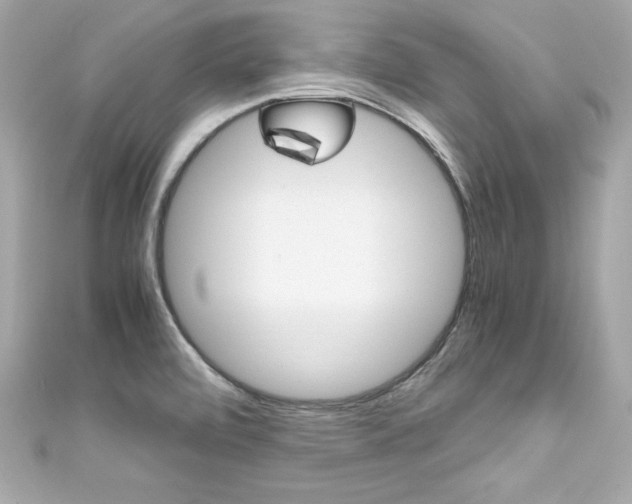 X0000111601472200907161203