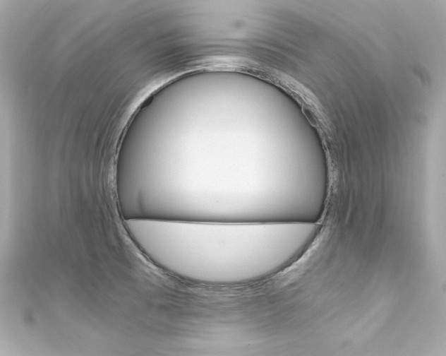 X0000111601473200907161203