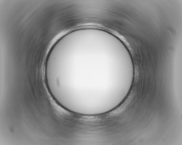 X0000111601474200907161203