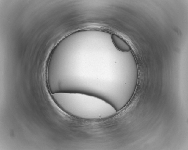 X0000111601475200907161203