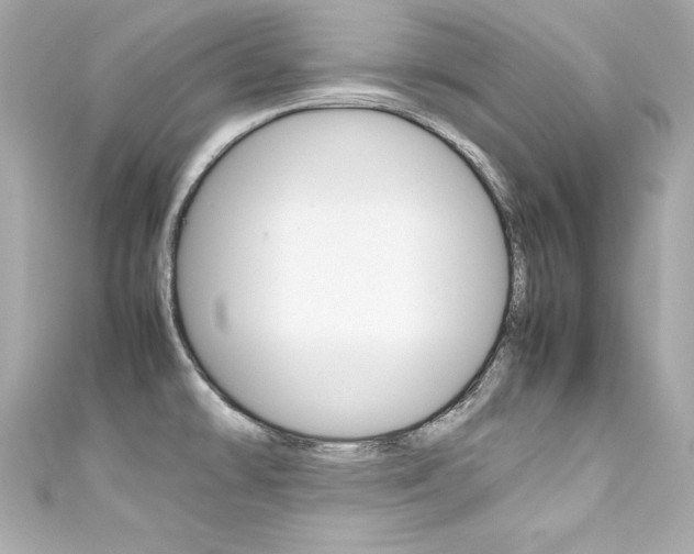 X0000111601478200907161203