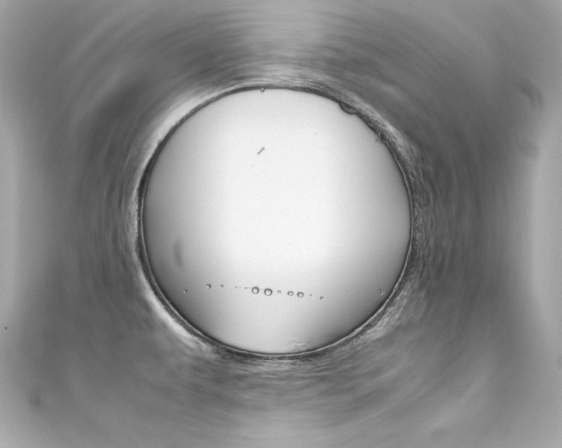X0000111601479200907161203