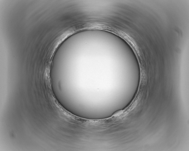 X0000111601481200907161203