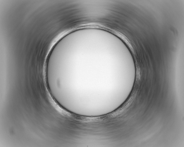 X0000111601482200907161203