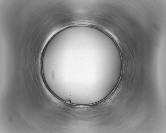 X0000111601483200907161203