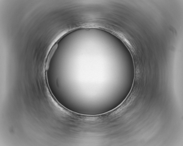 X0000111601484200907161203