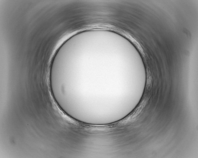 X0000111601486200907161203