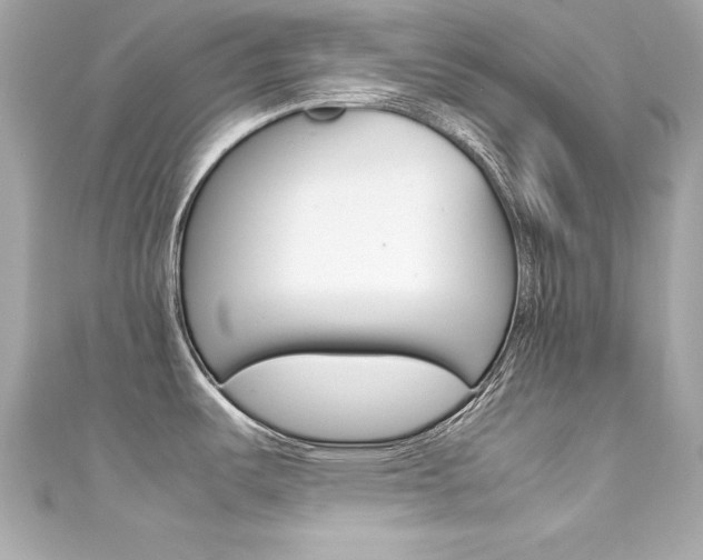 X0000111601487200907161203