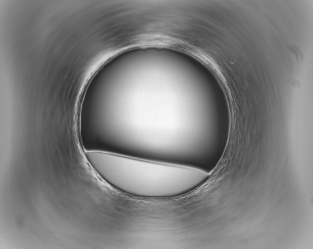 X0000111601488200907161203
