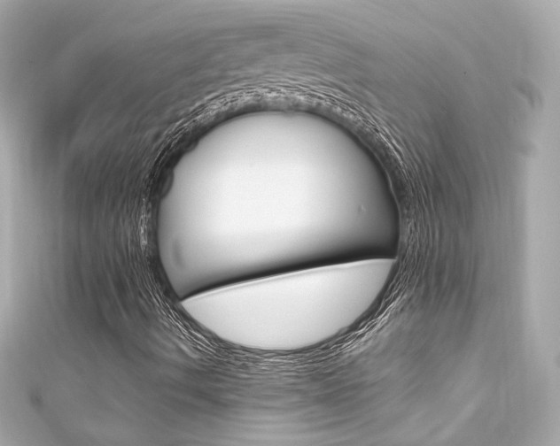 X0000111601490200907161202