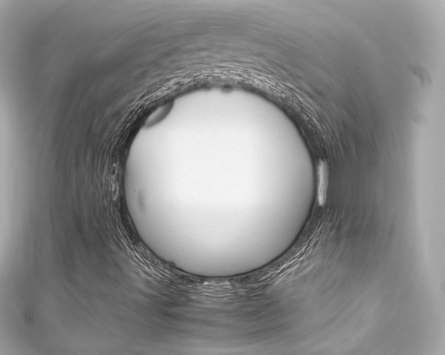 X0000111601491200907161203