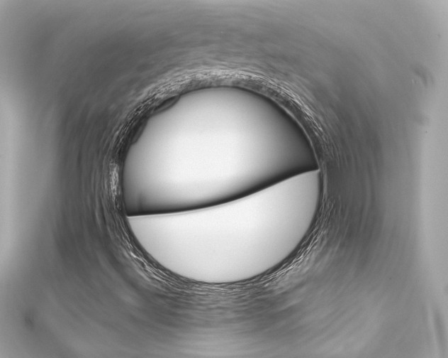X0000111601492200907161203