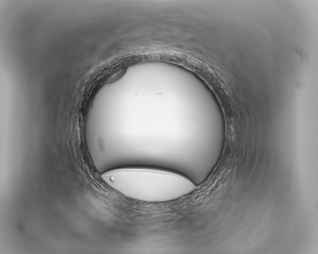 X0000111601493200907161203