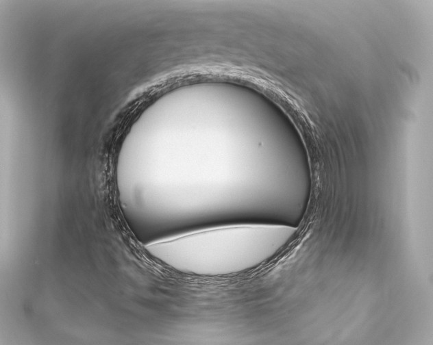 X0000111601494200907161203